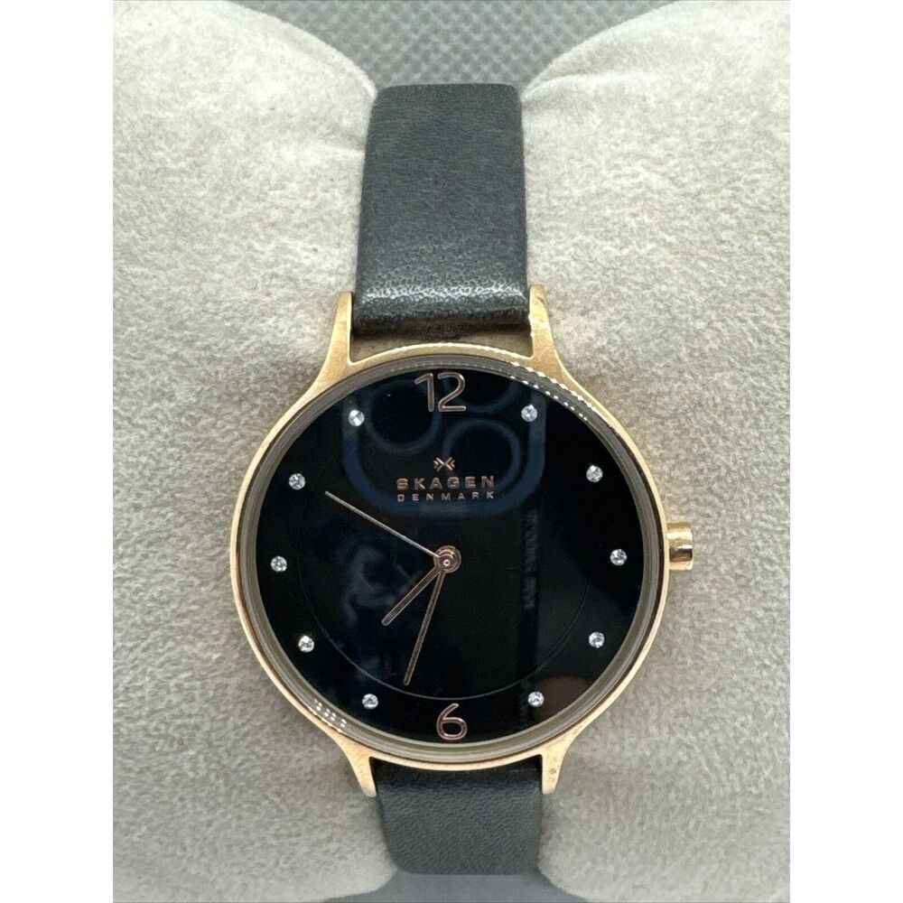 Skagen Anita Lille SKW2267 Women Charcoal Leather Analog Dial Wrist Watch JNA920